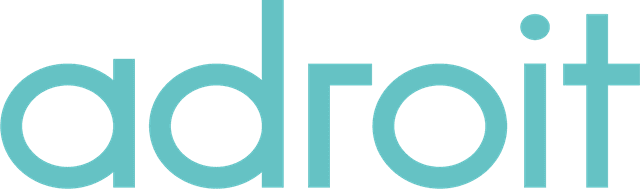 Adroit Data & Insight